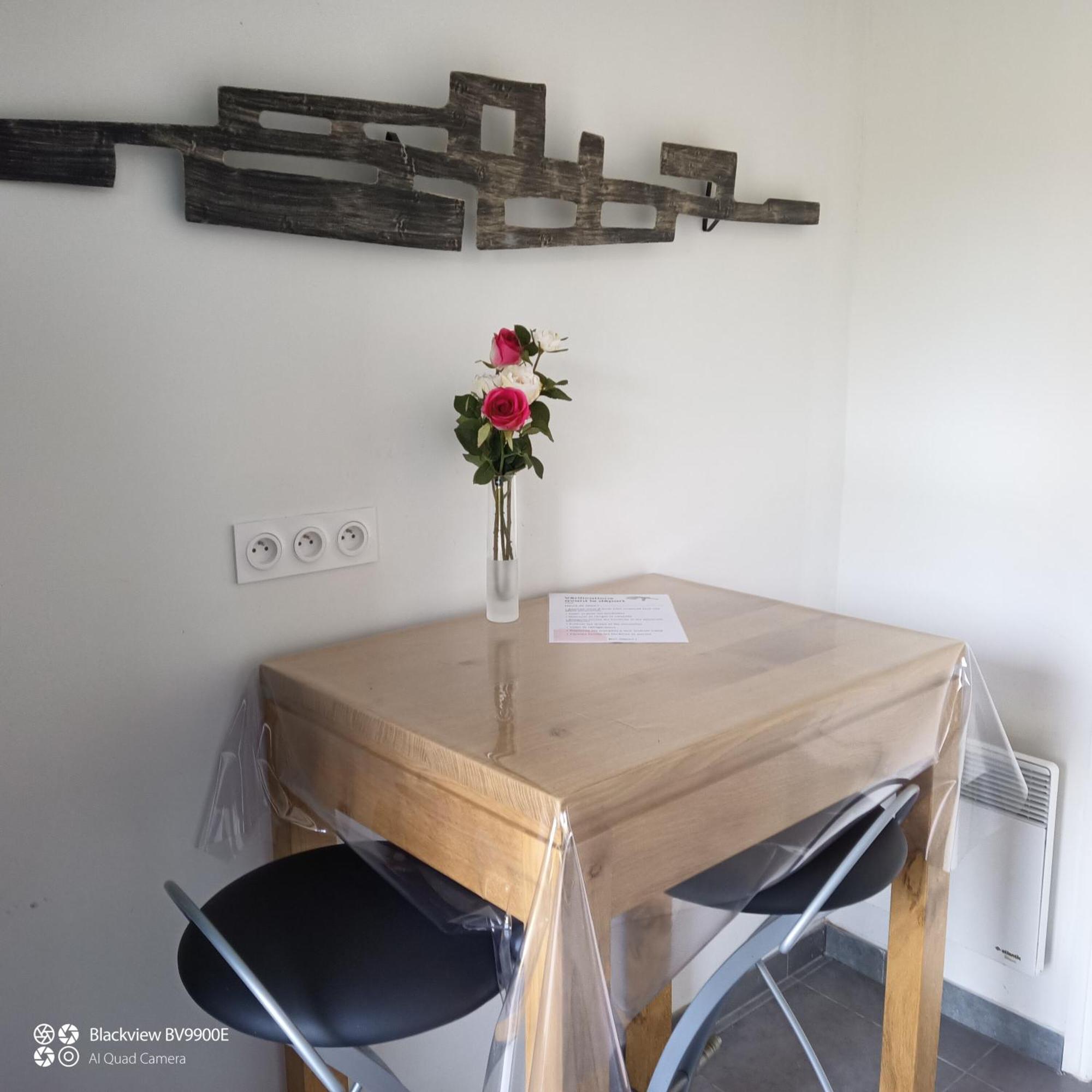 Appartement La Clematite D'Olt à Saint-Côme-dʼOlt Extérieur photo